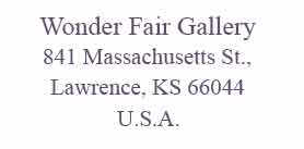 Wonder Fair Gallery