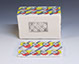 Pattern box 1