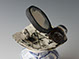 Black~magnify glass6